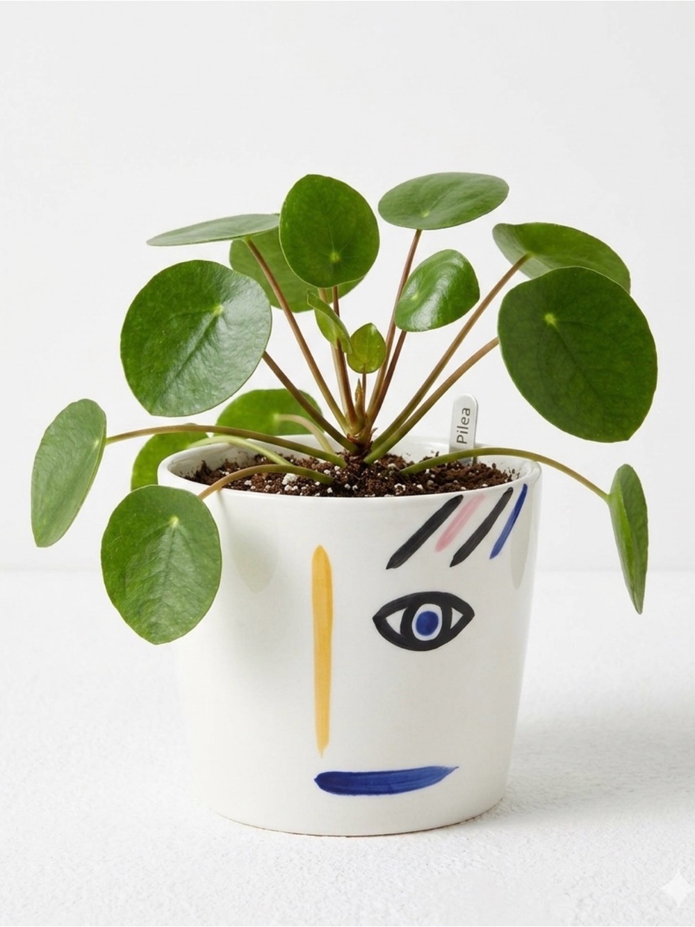 Orren Ellis Hand Painted Abstract Face Planter Pot Eye of the Beholder Ceramic